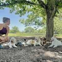 a woman kneeling under a tree with a group of dogs